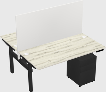 Shared electric desk