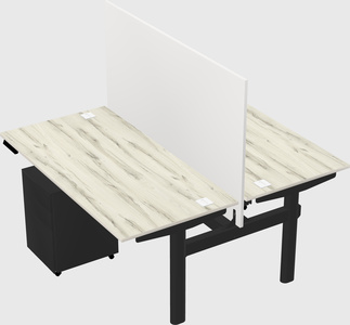 Shared electric desk