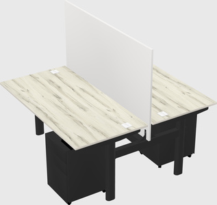 Shared electric desk