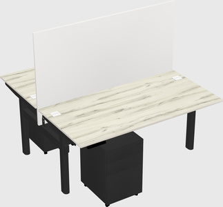 Shared electric desk