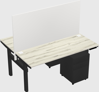 Shared electric desk