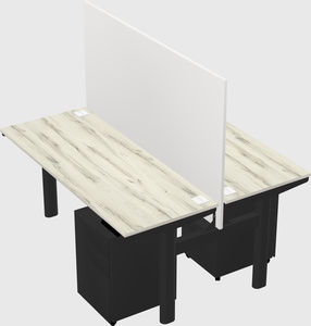Shared electric desk