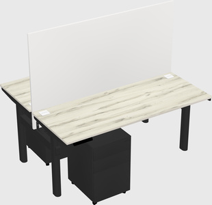 Shared electric desk