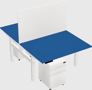 Shared electric desk