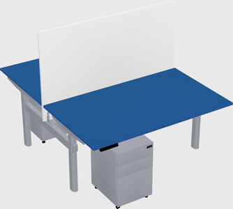 Shared electric desk