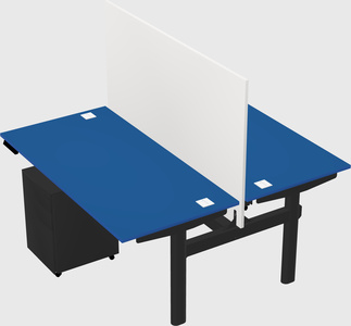 Shared electric desk