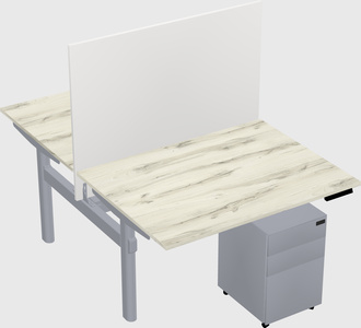 Shared electric desk