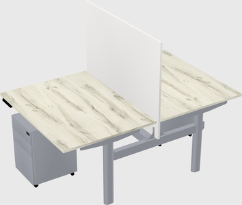 Shared electric desk