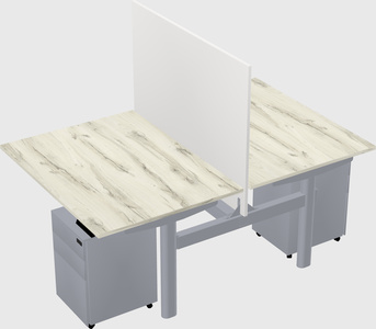 Shared electric desk