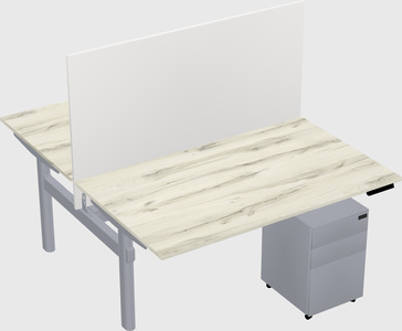 Shared electric desk