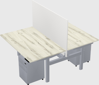 Shared electric desk