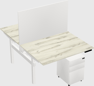 Shared electric desk
