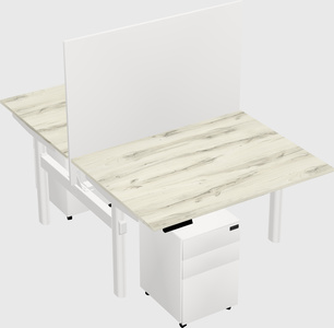 Shared electric desk