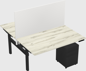 Shared electric desk