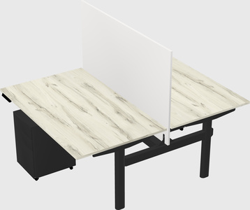 Shared electric desk