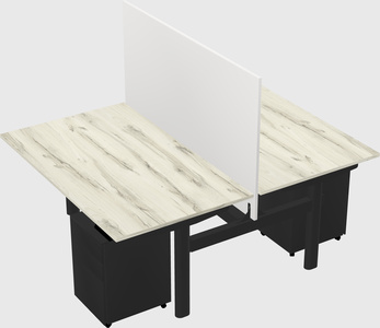 Shared electric desk