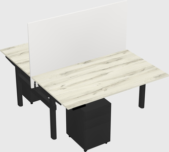 Shared electric desk