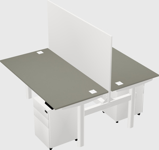Shared electric desk