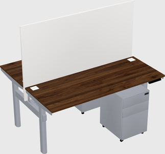 Shared electric desk