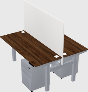 Shared electric desk