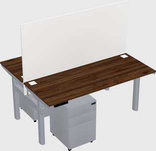 Shared electric desk
