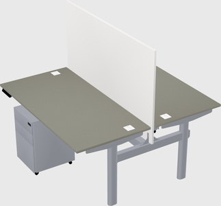 Shared electric desk