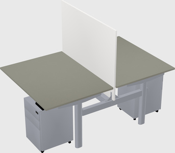 Shared electric desk