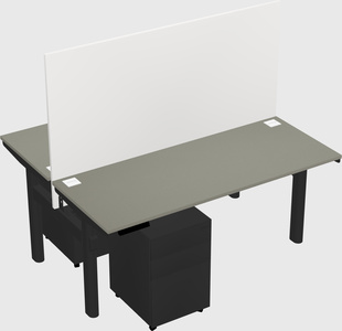 Shared electric desk