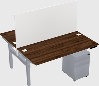 Shared electric desk