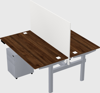 Shared electric desk