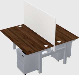 Shared electric desk