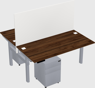 Shared electric desk