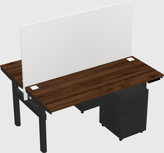 Shared electric desk
