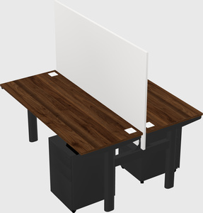 Shared electric desk