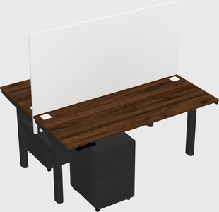 Shared electric desk