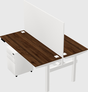 Shared electric desk