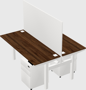 Shared electric desk