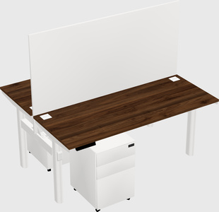 Shared electric desk