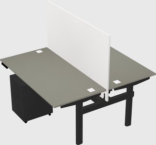 Shared electric desk
