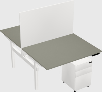 Shared electric desk