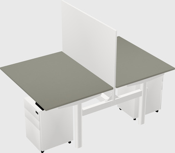 Shared electric desk