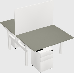 Shared electric desk