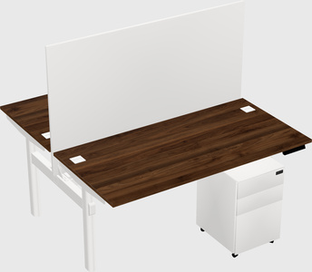 Shared electric desk