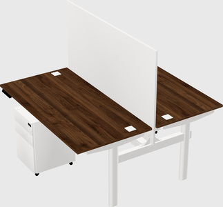 Shared electric desk