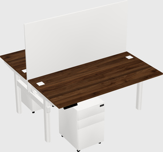 Shared electric desk