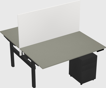 Shared electric desk