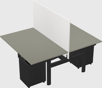 Shared electric desk