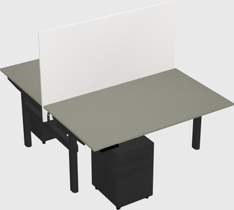 Shared electric desk