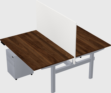 Shared electric desk