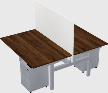 Shared electric desk